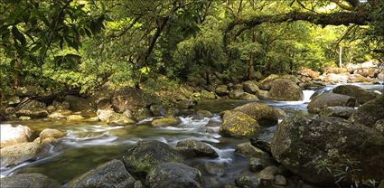 Mossman Gorge - QLD T (PBH4 00 17022)